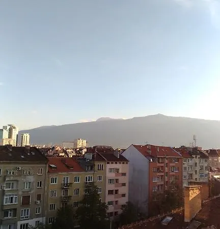 Roofs Of